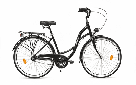 Rower Miejski Dallas City Alu / Stal 28