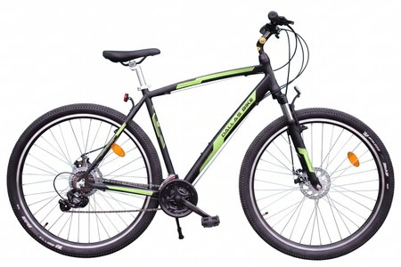 Rower Dallas MTB 29