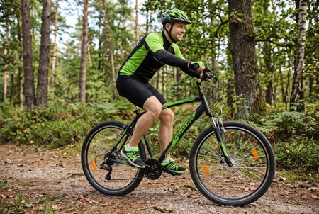 Rower Dallas MTB 29
