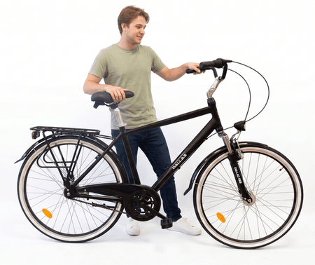 Rower Dallas City Trekking Alu Men 28