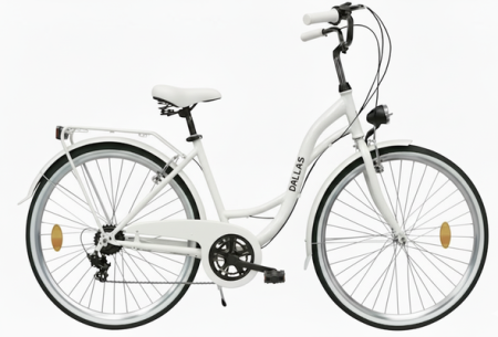 Rower Miejski Dallas City 28