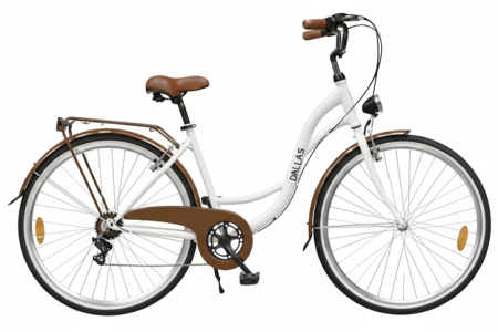 Rower Miejski Dallas City 28