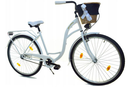 Rower Miejski Dallas City 28