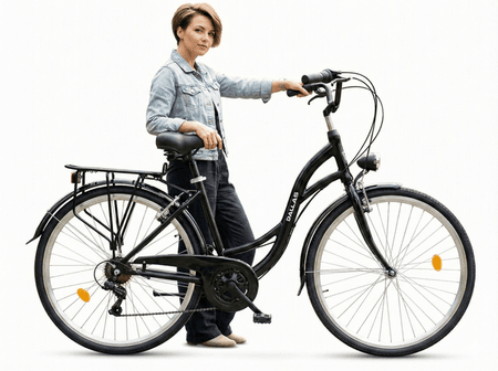 Rower Miejski Dallas City Alu / Stal 28