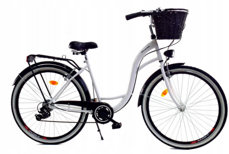 Rower Miejski Dallas City 28