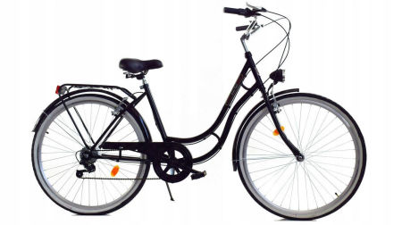 Rower Dallas City Retro 28