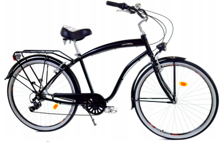 Rower Dallas Cruiser Men 28