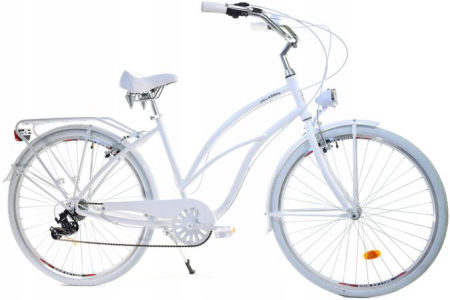 Rower Dallas Cruiser 28