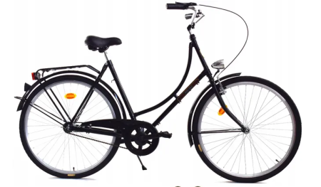 Rower Dallas Holland City 28