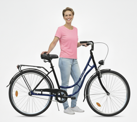 Rower Miejski Dallas Retro 26