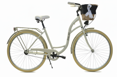 Rower Miejski Dallas City 28