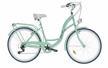 Rower Dallas City Junior 24