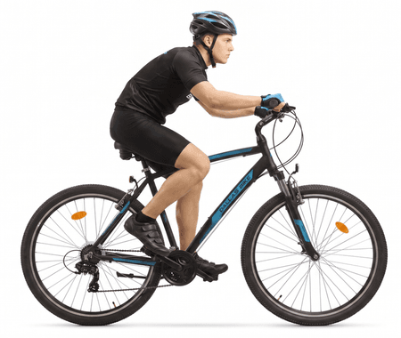Rower Dallas MTB 29