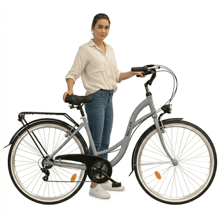 Rower Miejski Dallas City Alu/Stal 28