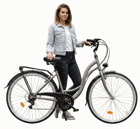 Rower Miejski Dallas City 28