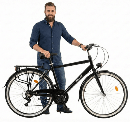 Rower Dallas City Trekking Stal Men 28